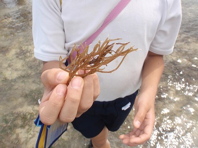 c0180460_46327.jpg
