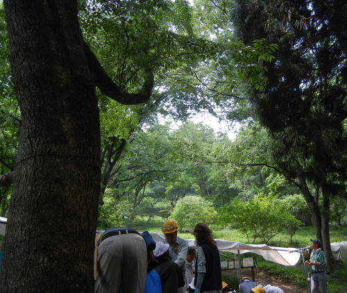 b0129962_1839299.jpg