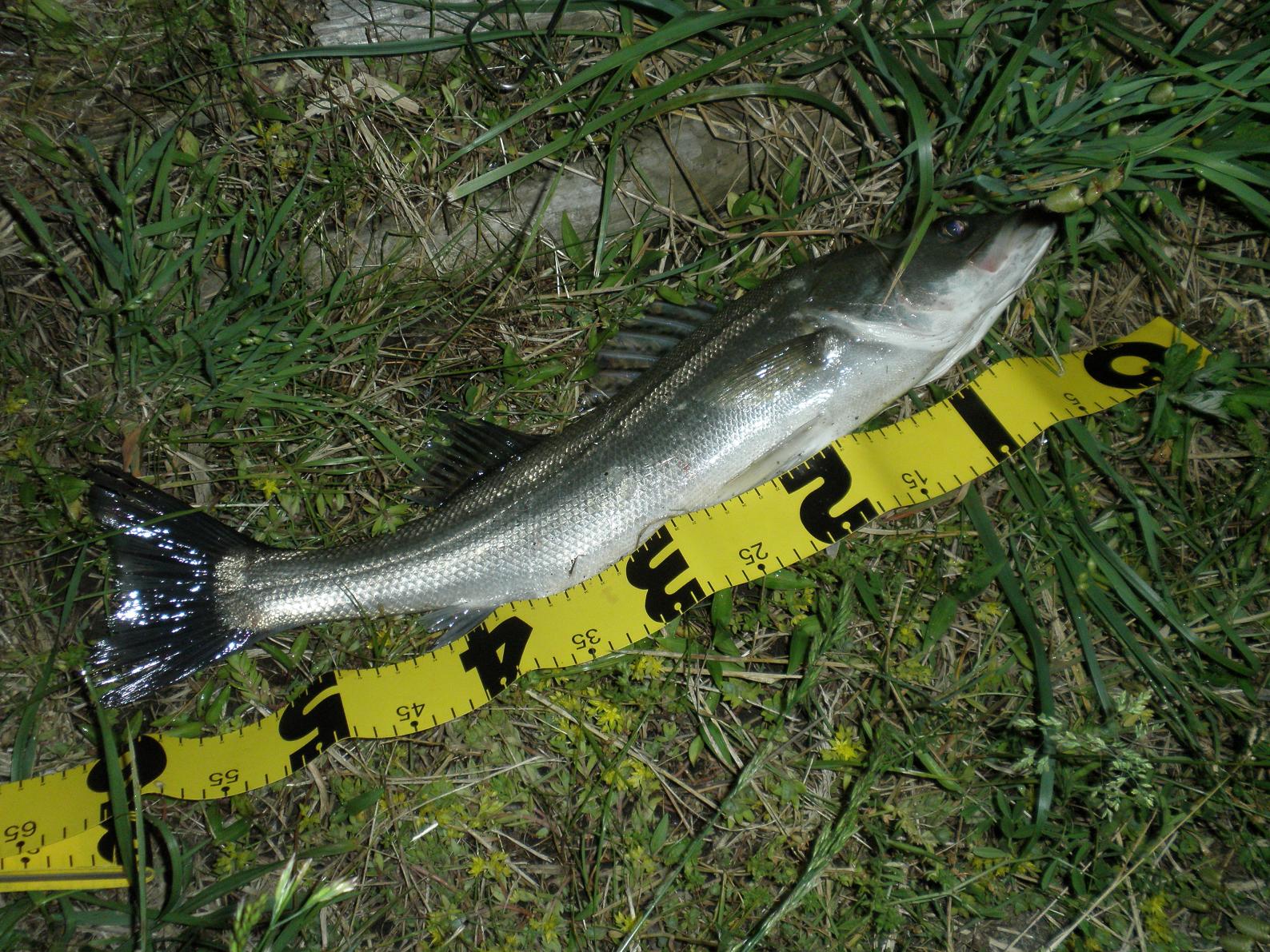 d0249266_7164367.jpg