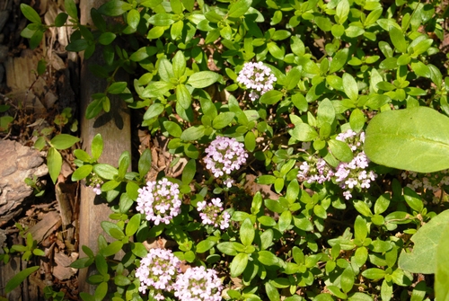 e0151566_02238.jpg