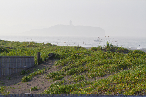 a0157069_85252.jpg