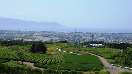 e0148373_8484675.jpg
