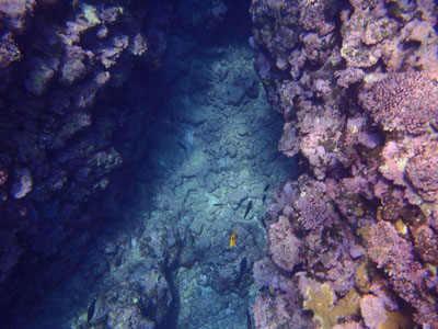 a0094278_2356246.jpg