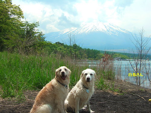 石割山・平尾山（その2）5月28日（月）_b0136381_1254244.jpg