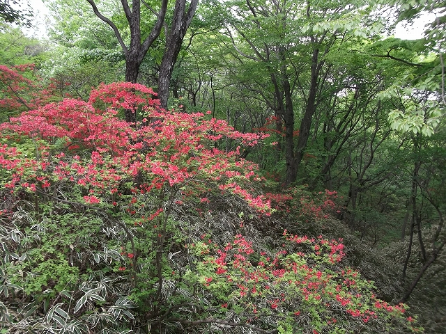c0212083_22583637.jpg