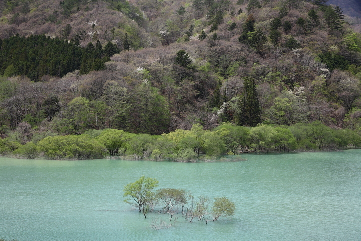 e0165983_1450416.jpg