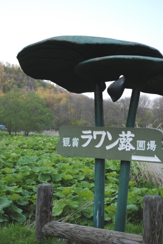 f0171283_15193115.jpg