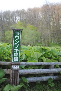 f0171283_15194319.jpg