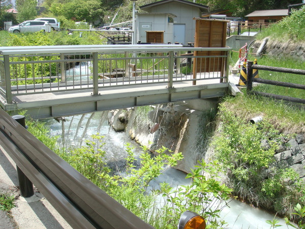 a0247884_941267.jpg