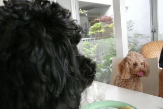 2012年5月29日 6年と1日目・・・_b0098584_11344133.jpg