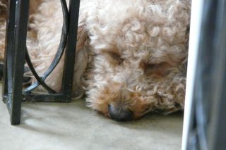 2012年5月29日 6年と1日目・・・_b0098584_11345893.jpg