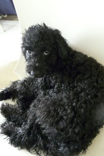 2012年5月29日 6年と1日目・・・_b0098584_11374886.jpg