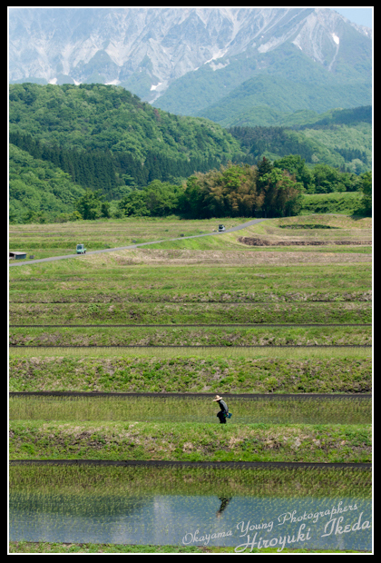 のどかな田園_a0143786_8453454.jpg