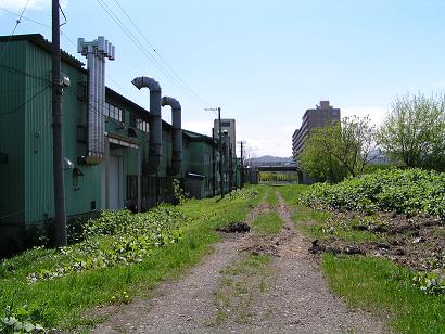 f0078286_10203229.jpg
