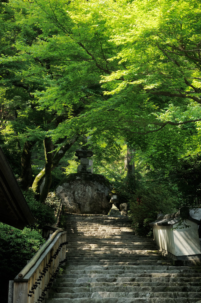 大興善寺_c0235188_764192.jpg