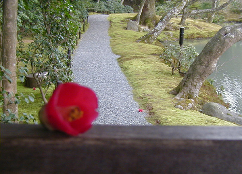 ●金閣寺、その2_d0053294_1263992.jpg