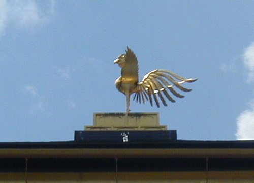●金閣寺、その2_d0053294_129323.jpg