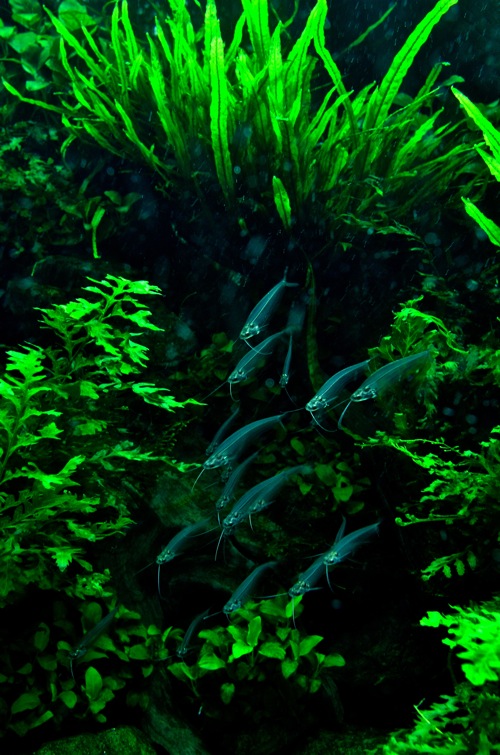 e0240394_31996.jpg