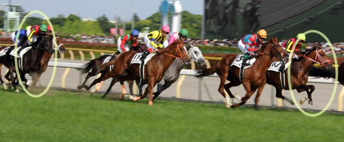 　ダービー馬はディープブリランテ!!_f0154796_11565820.jpg