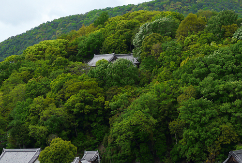 c0165301_9183819.jpg