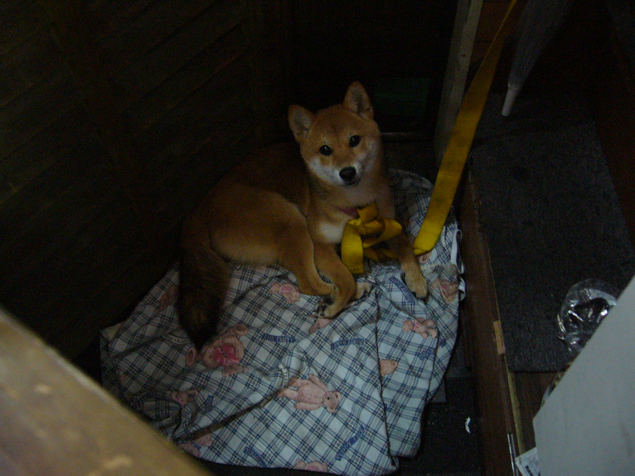 にぎやかな店内だこと。_b0133403_22344594.jpg
