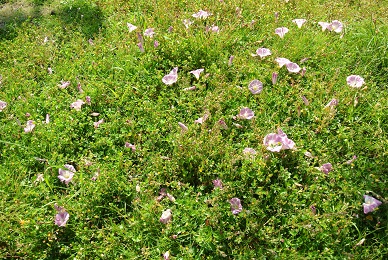 a0134004_1251975.jpg