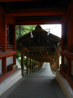 e0118904_17373984.jpg