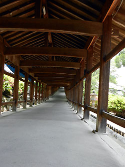 e0118904_17375228.jpg