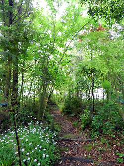 e0118904_17442324.jpg