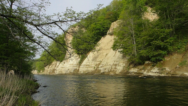 d0051707_2101338.jpg