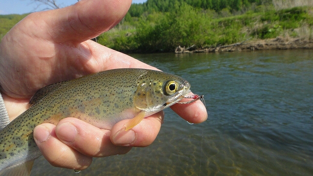d0051707_2185932.jpg