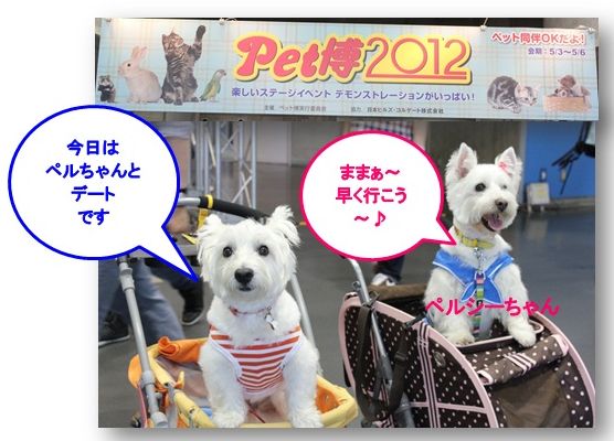 Pet博2012で当たったよ～!(^^)!_a0161111_1432778.jpg