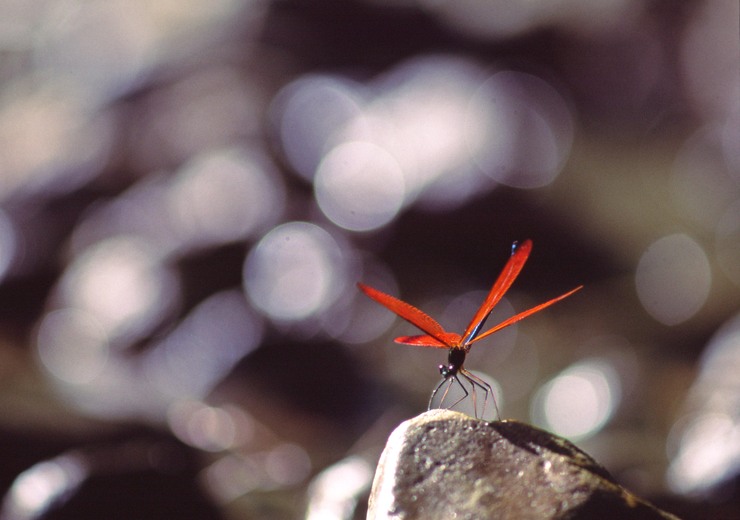 c0235114_9505492.jpg