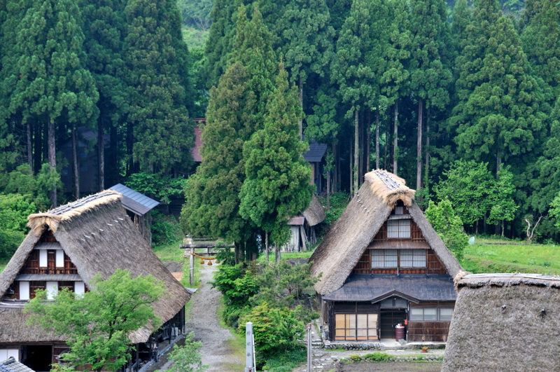 合掌造り集落を訪ねて・五箇山編_d0247114_1638645.jpg