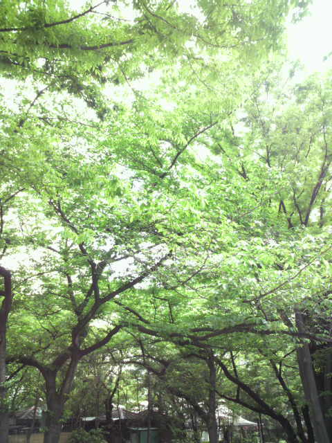 d0255514_16473321.jpg