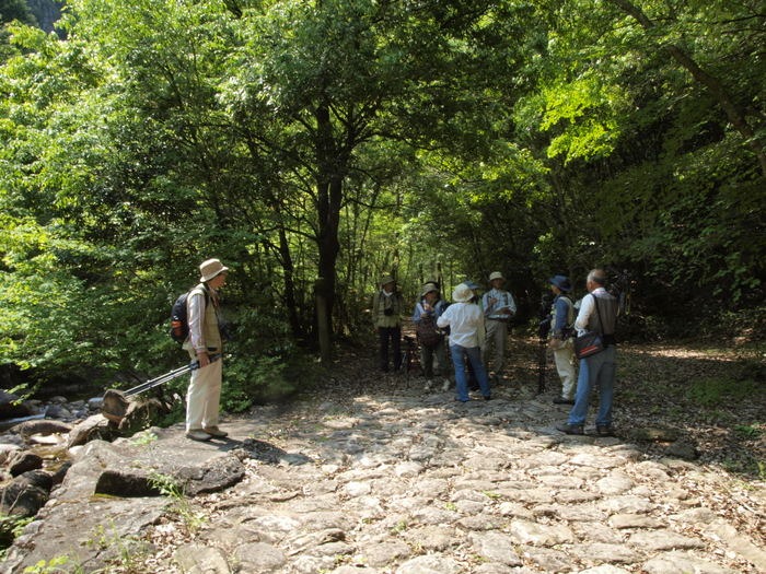 石ヶ谷峡写真撮影会　その３_c0116915_0555754.jpg