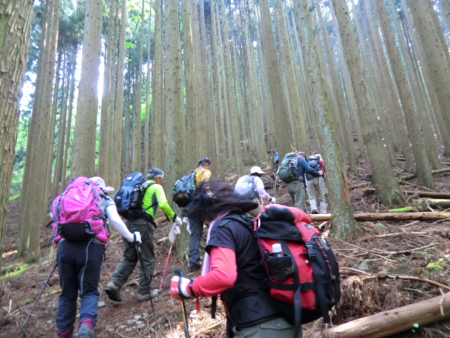 雷鳴り響く　武奈ｹ岳　御殿山(1,907M) で撤退_d0170615_7244124.jpg