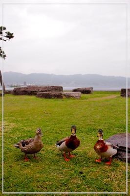 il viaggio per Nagano con la famiglia e il cane_a0207821_355674.jpg