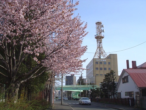 北海道の旅　２０　　２０１２・５・３１_f0000521_10274020.jpg