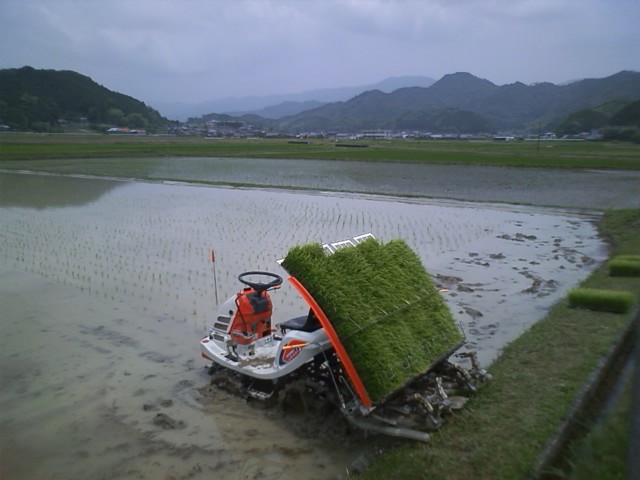 田植えが終わりました_c0117028_2030798.jpg