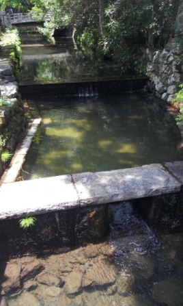 初夏の高野山_a0059035_14322650.jpg