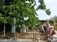 富士川街道第5回 下部温泉から身延へ_f0019247_1844146.jpg
