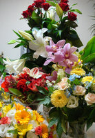 d0256349_23421175.jpg