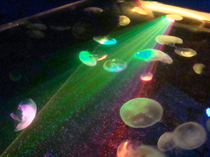 d0256349_23422695.jpg