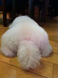 d0256349_23424727.jpeg