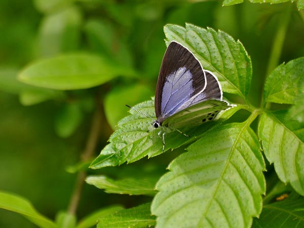 c0045352_21373846.jpg