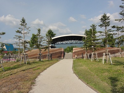 八色の森公園の緑がとってもきれいです_a0084753_1751190.jpg