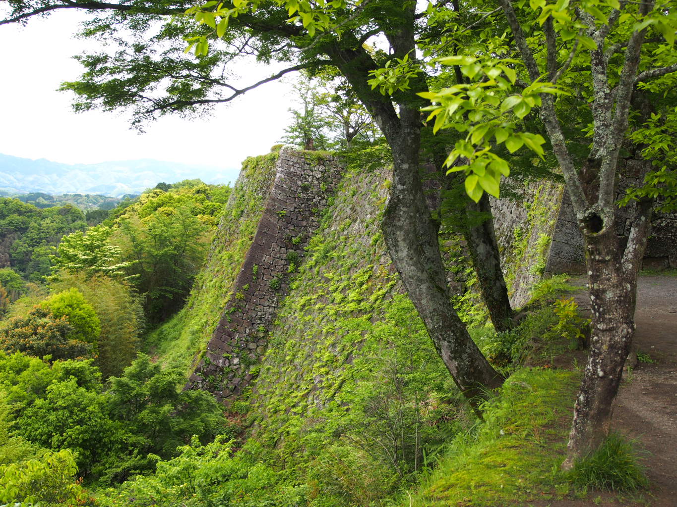 大分(7)竹田・岡城址_d0032258_6453826.jpg