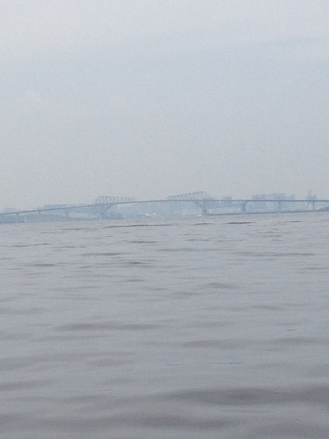 f0206762_3315687.jpg