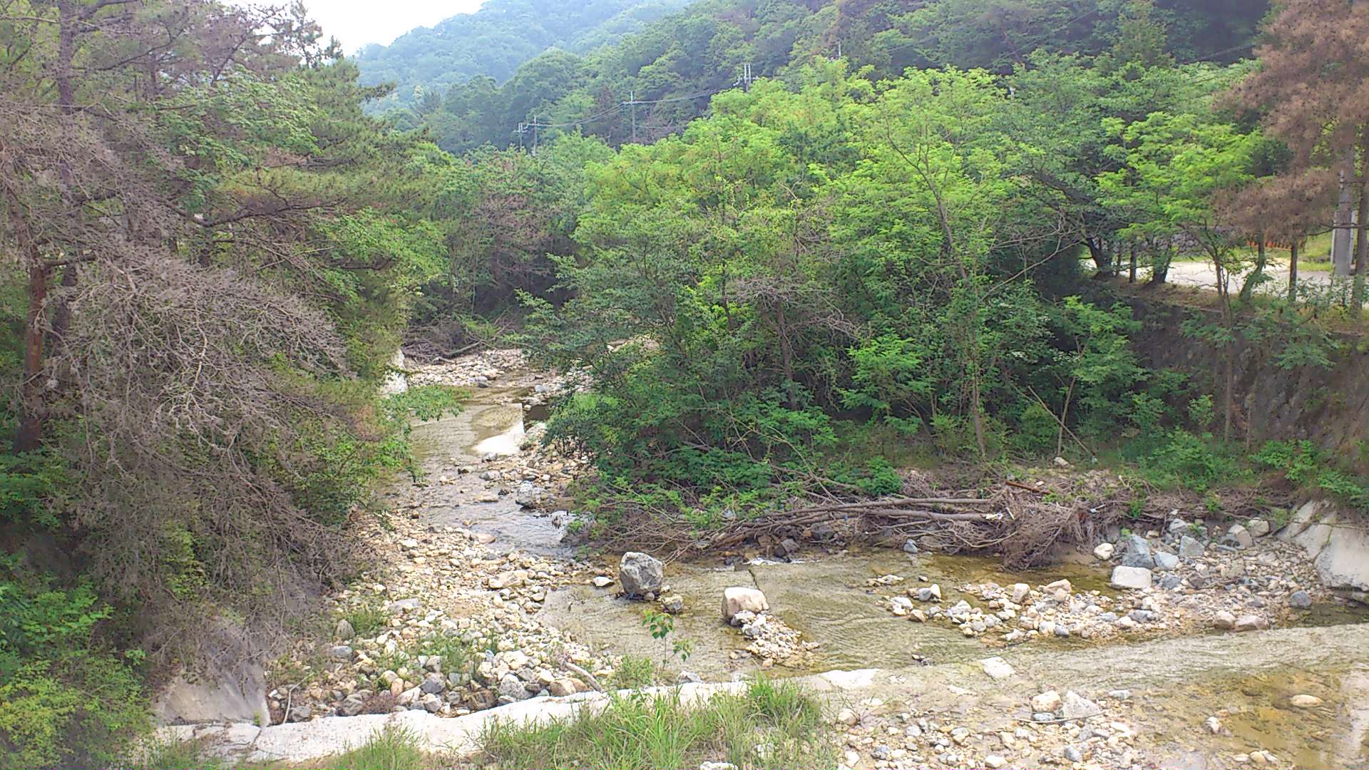 b0109570_33890.jpg
